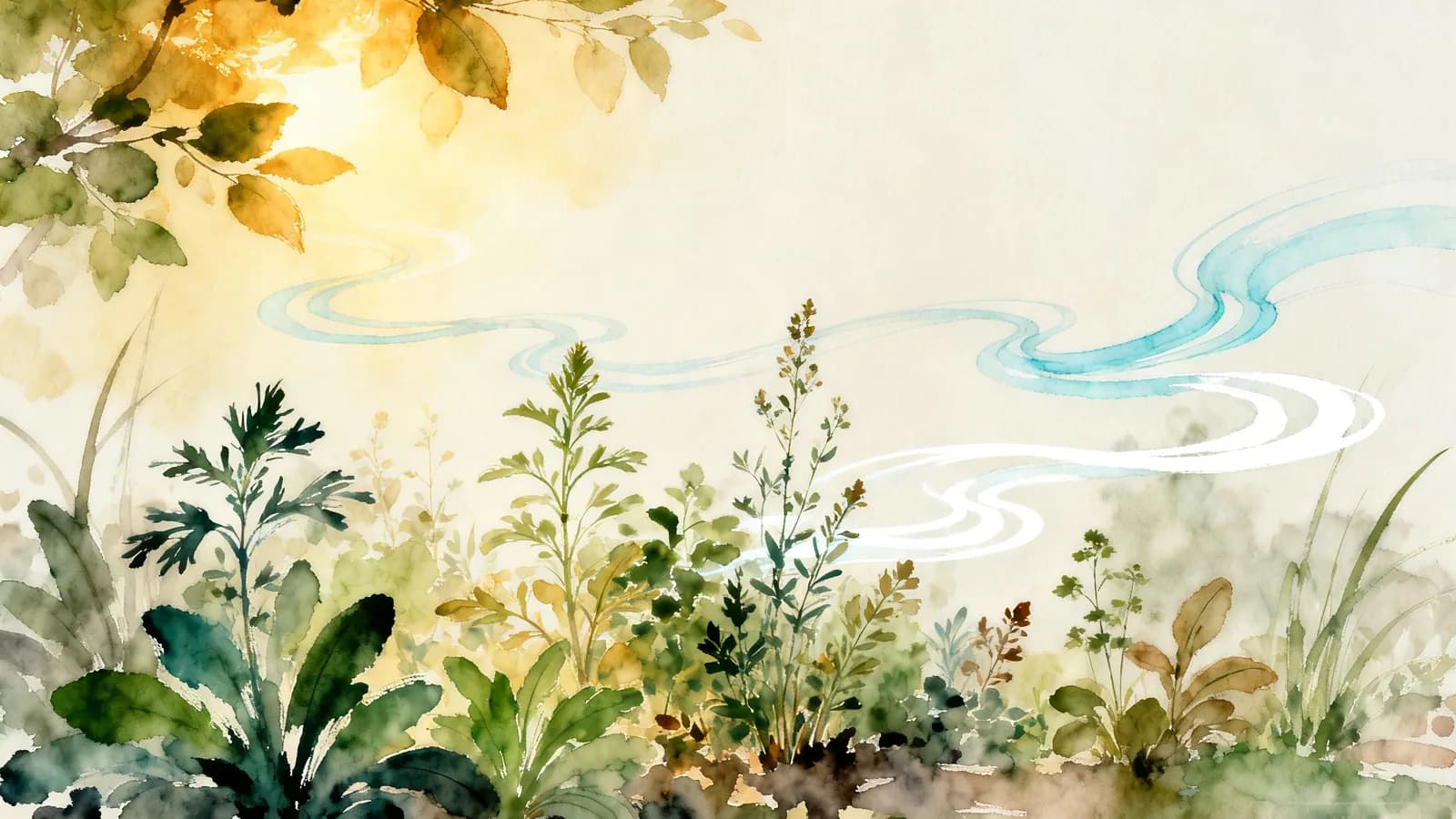 Wellness Guide (治未病)